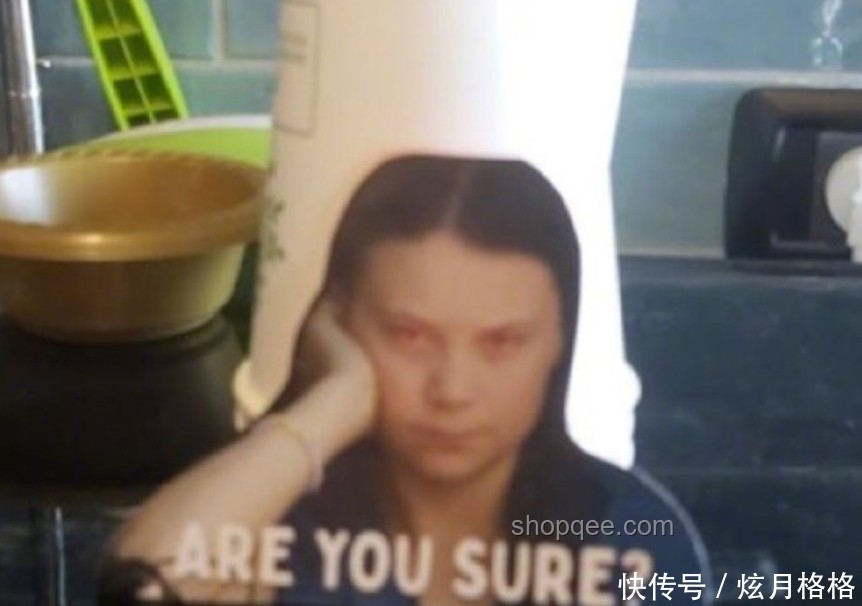 “环保少女”与以色列：一次行动引发的对比分析